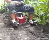 搞笑|搞笑GIF:我就欣赏小哥不怕死的精神