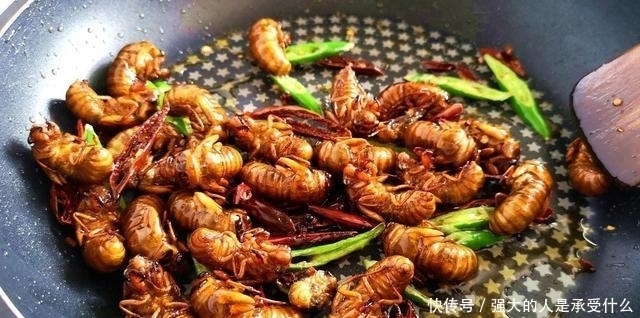 成分|南方人最爱的5种小吃,到了北方却成“重口味”,几乎不敢下嘴