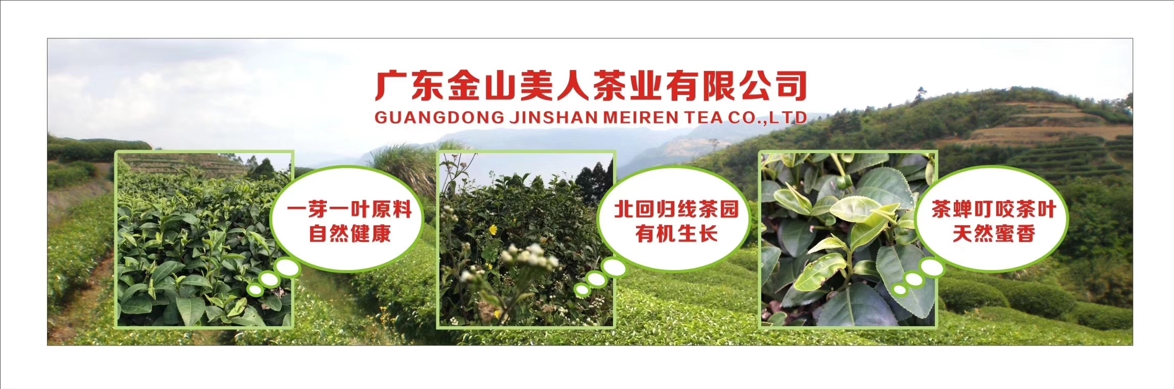 盛开|茶人专访 | 温丽华:你若盛开,清风自来