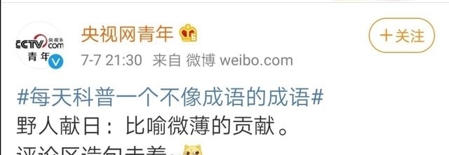 成语|盘点一下像“野人献日”、“酒店猛狗”这类看起来不像成语的成语