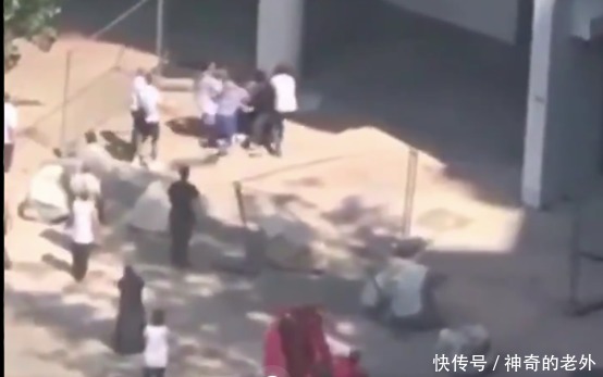  孩子|法国两儿童惊慌中 从12米高起火公寓跳下来 幸好路人不惧骨折接住