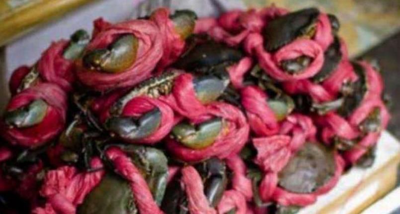 大叔|大叔挑扁担卖“绳子蟹”,10元一只,我买了5只,掰开后却后悔了