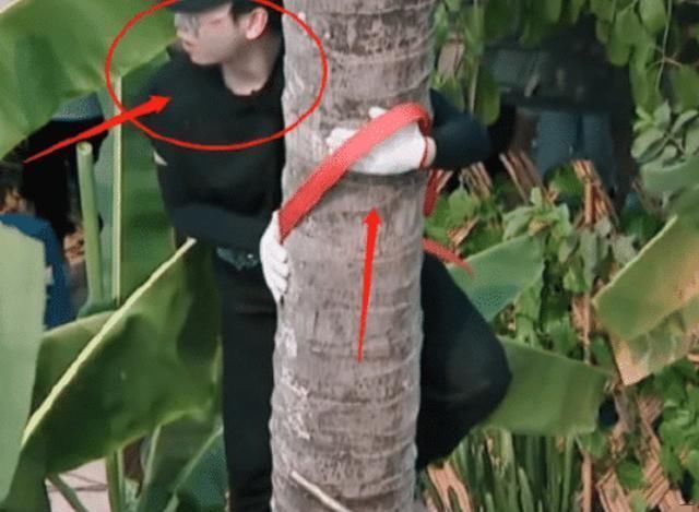 位置|《向往4》安全防范意识太强,看到救护车停的位置,节目组有心了