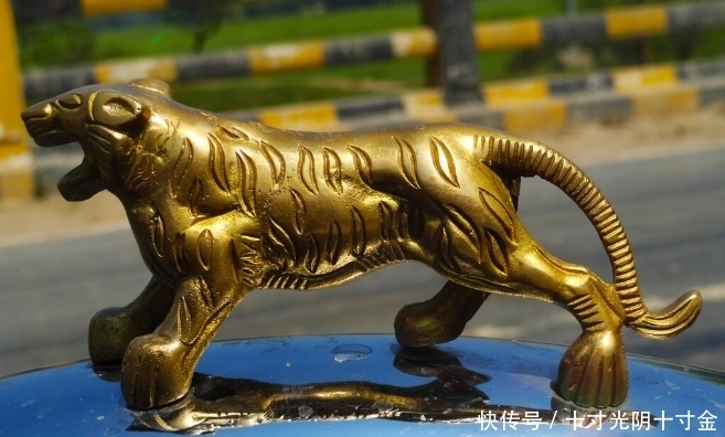 老农|老农在江边捡到枚“金虎”，卖出1300万，3年后被发现惩罚来了