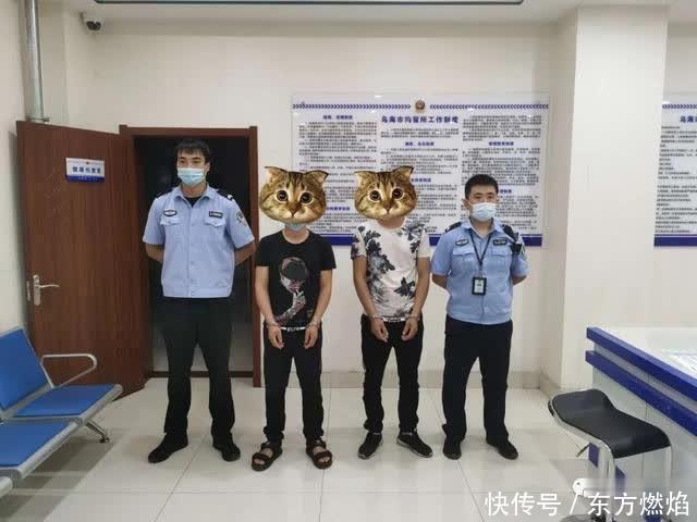  成本|打架成本高，出手需谨慎！乌达公安依法处理两起打架事件