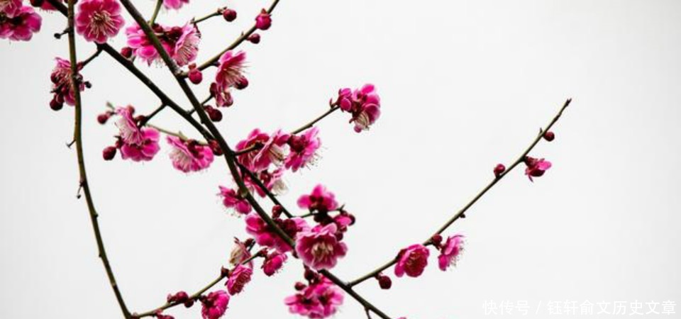  诗词|诗词大会郦波讲得起劲，蒙曼说句“这大家都知道”，引出千古名作