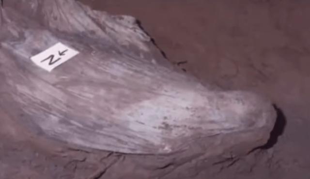 改造|真人秀盯上凶宅大改造!清洗陈年血迹,撬开躺过死尸的地板…