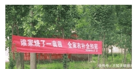 标语|实拍皖北“雷人”标语, 是让农民害怕, 还是让农民敬畏呢?