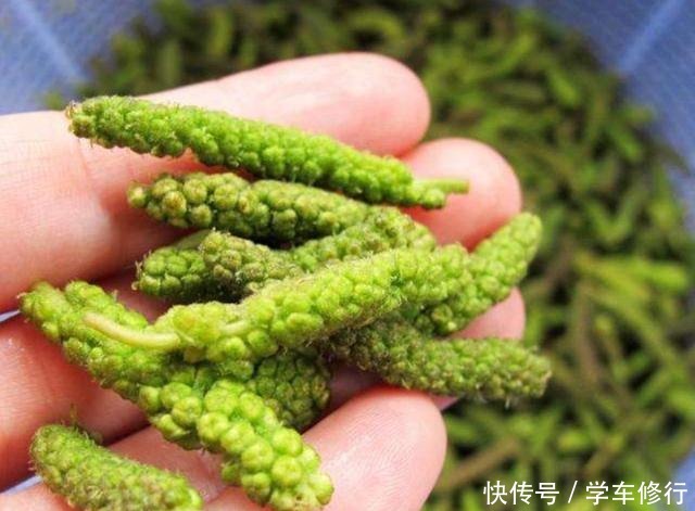  入少许的食|清明前后，这种树开花，花穗比肉都香，错过要等一年！