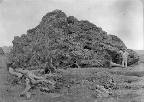 震碎|超过190分贝的噪音,相当于1.3万颗核弹爆炸,轻松震碎五脏六腑