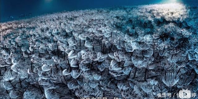  视效|仅4个人，拍出了今年最顶级的视效大片