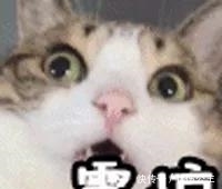 闲逛|男子半夜小区内“闲逛”,竟为了做这事!警方:手表帮忙破案