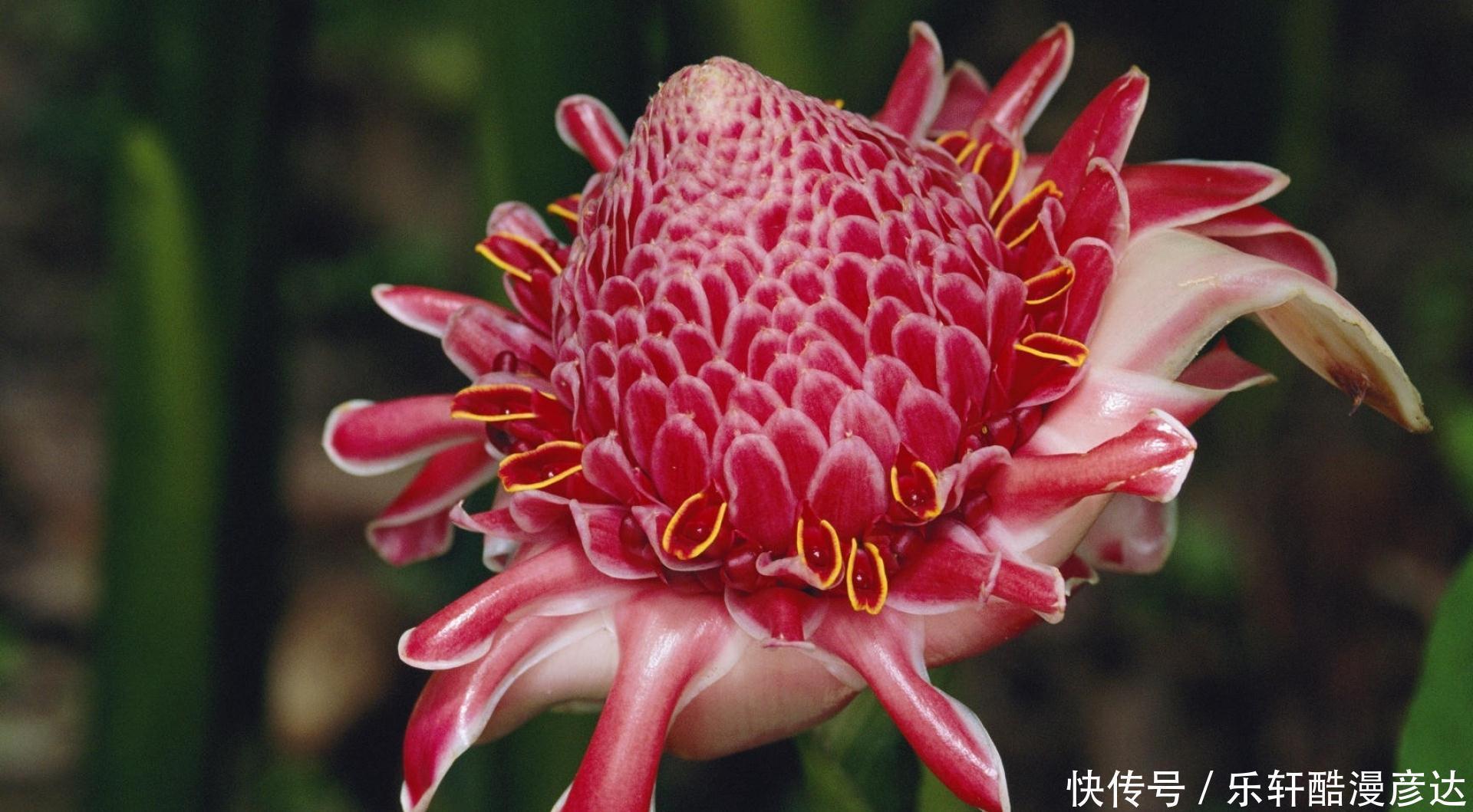 拆不散|生肖龙“上上等婚配”天生一对,老天都拆不散!