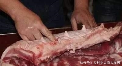 猪肉一起|买猪肉都不想买母猪,怎么避免挑到母猪肉,有几个关键点