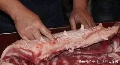 猪肉一起|买猪肉都不想买母猪，怎么避免挑到母猪肉，有几个关键点