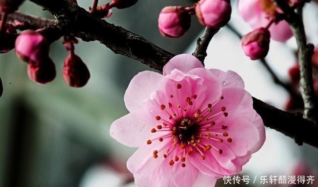 星座|情商高，交际场合一枝独秀的星座，让人钦佩又羡慕