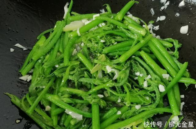  特别|这菜是个宝，可惜很多人不懂扔掉了，清热解暑，清脆爽口，正当季