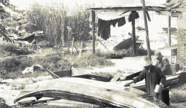 垄断|桐油在抗战时几乎由我国垄断，我国甚至以其为抵押进行借款