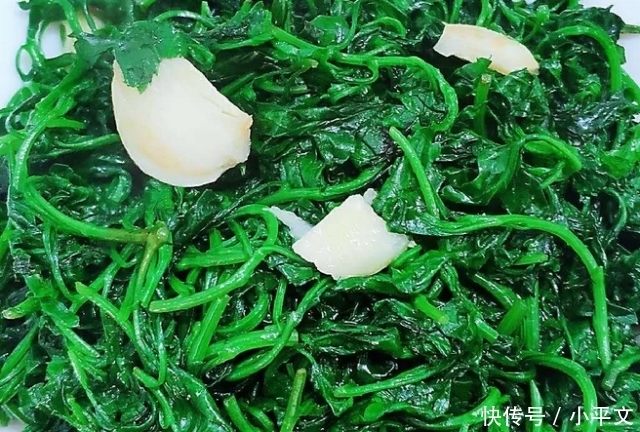 爽口|大叔家的快手菜:蒜香菊花头,香气扑鼻,清脆爽口,家人喜欢!