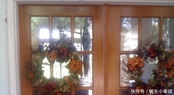  剧痛|男子出门上班，刚出门头顶传来剧痛，伸手一摸魂都飞了