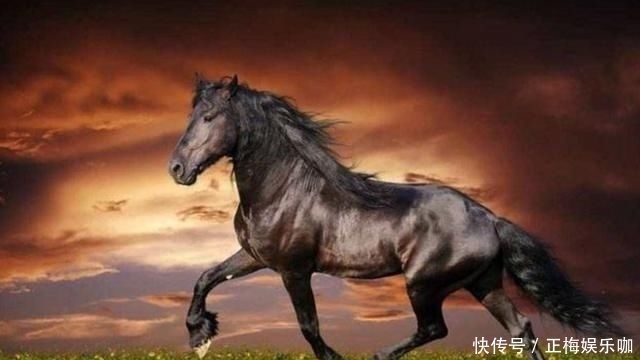 马超|三国战将坐骑:关羽赤兔、马超里飞沙,张飞的坐骑才真的霸气