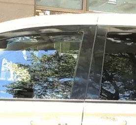 摸手|王一博回归天天兄弟变小孩,汪涵开车他在后座撒娇,摸手安抚太宠