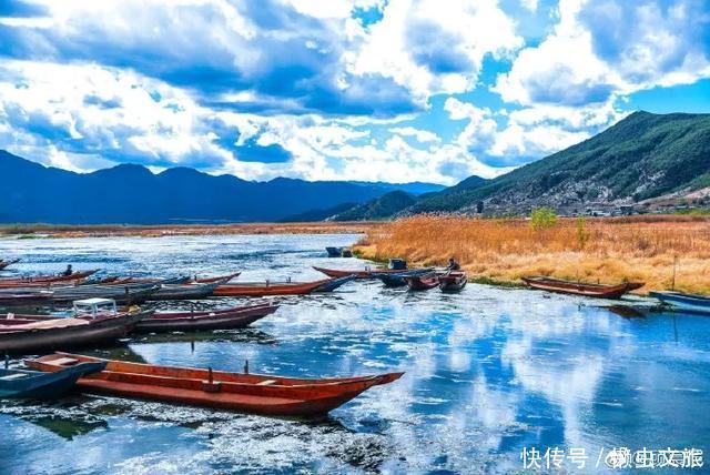 泸沽湖|陪你一起，闯进泸沽湖的花海