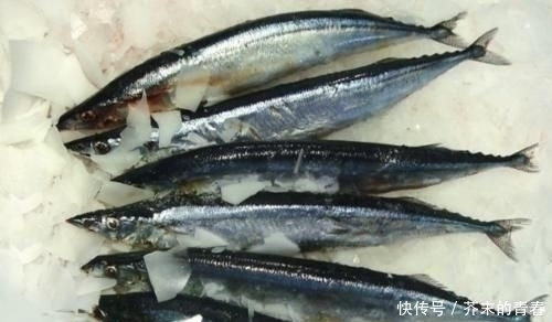 种鱼|去菜市场买鱼时,看到这3种鱼可以多买点,没法养殖只有野生的