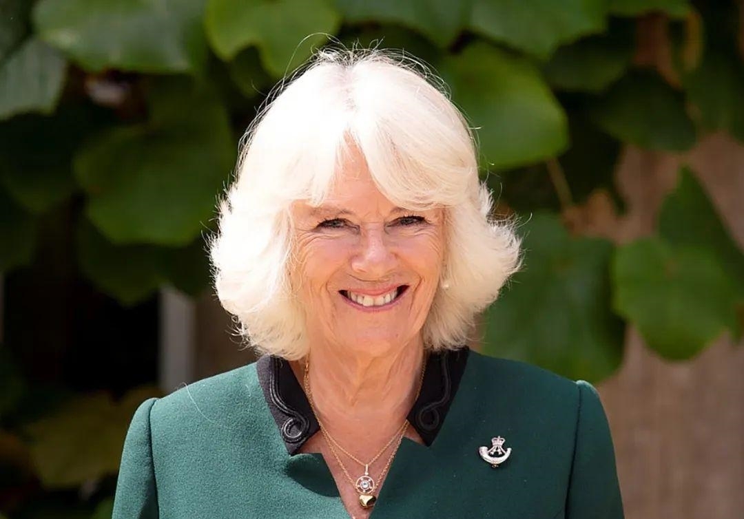 失望|99岁菲利普亲王忍痛割爱,将头衔让给儿媳妇卡米拉,对哈里失望了