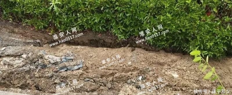  塌陷|【头条】古枚里路段塌陷，相关部门应急，近期封闭通行！