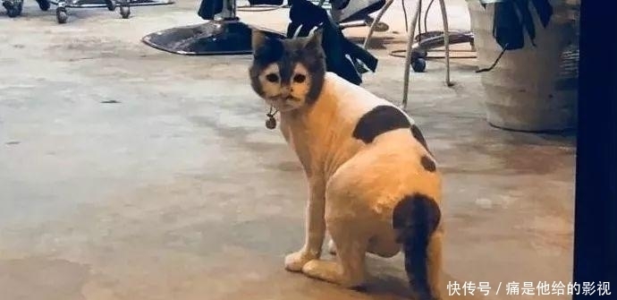  马赛克|“男朋友送我的马赛克浴巾？ 哈哈哈哈这谁顶得住啊......”