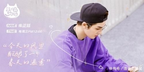 综艺|《汪喵物语》开播即火!悦己经济的时代就要来了