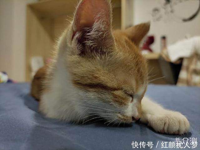 白色面板|感觉我用上了魅族17S Pro魅族17 Pro体验