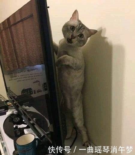 幽默|搞笑图片幽默段子:妹子,你就站那当石墩吧,反正你和它长一样