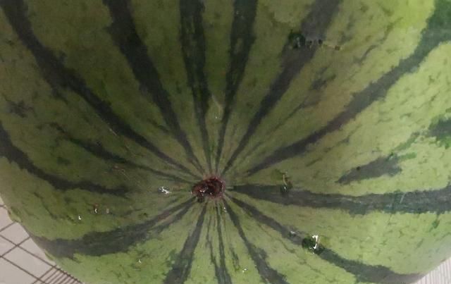 水果|这种西瓜千万不要买,水果店老板说漏了嘴,看完记得转达家里人