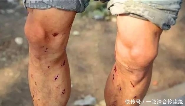 尊重|请您尊重他们: 当兵真的不易, 已经失去太多!