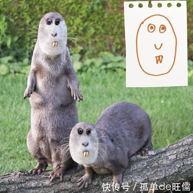 十足|恐怖又搞笑十足的PS神作,这位父亲一定来自外星球吧