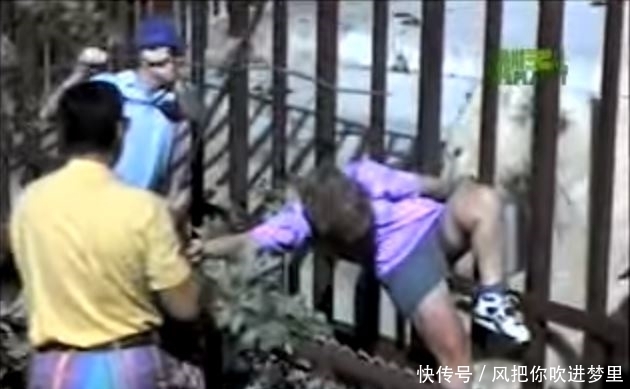 咬住|美女在动物园被北极熊咬住腿,游客说:放她走