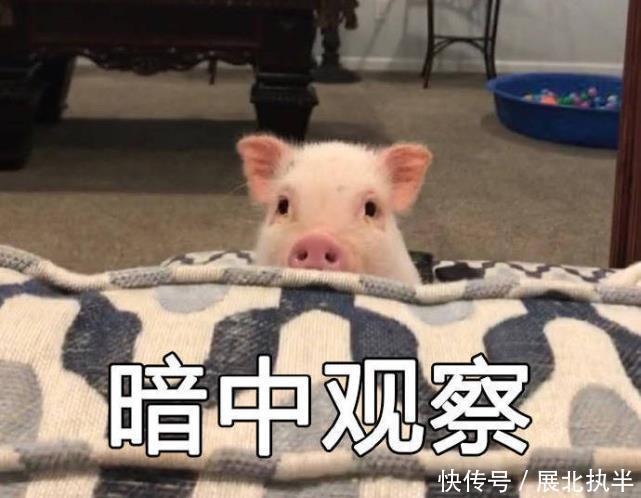 公主切|这些发型look又开始火了,谁先换谁先美