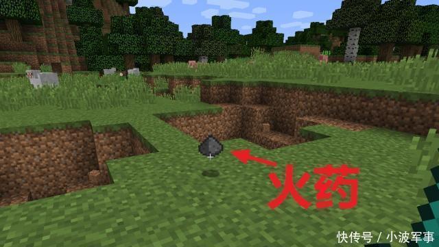 世界|我的世界有趣历史那些被改了名字的物品,虞美人到底是个啥