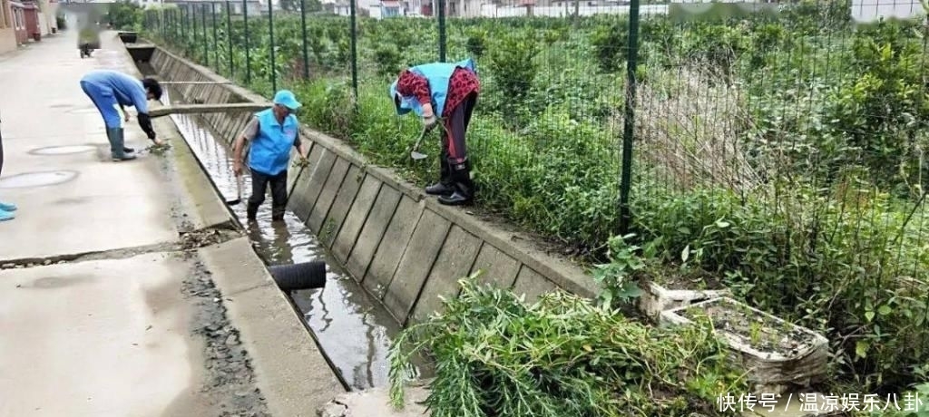  活动|每个星期四，崇明这些人一起相约“护家园”