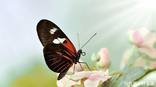 起走|?人生本过客,何须太执着