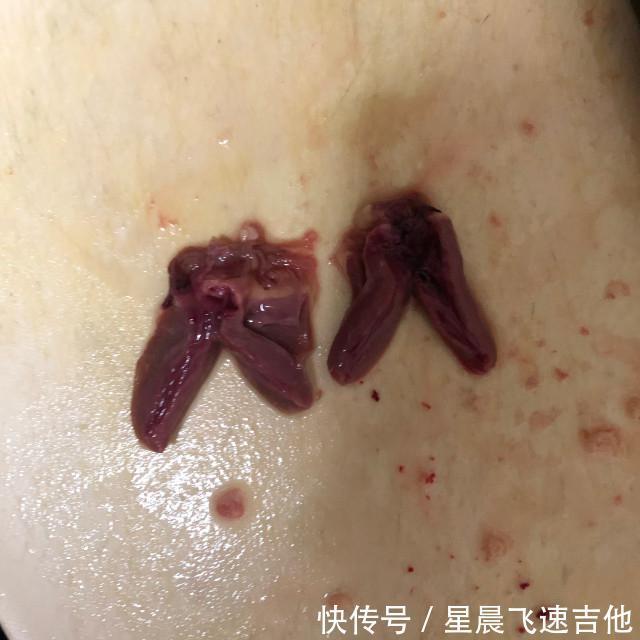 香辣|辣炒鸡心,香辣美味,下酒下饭