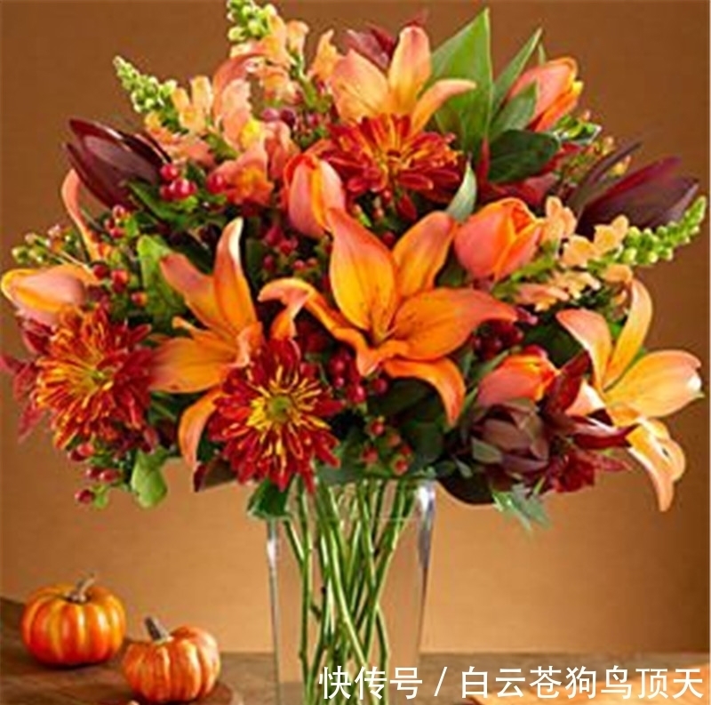 爱情|八月份的天蝎座,追随爱的方向,必将迎来希望