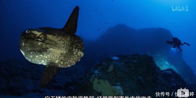  视效|仅4个人，拍出了今年最顶级的视效大片