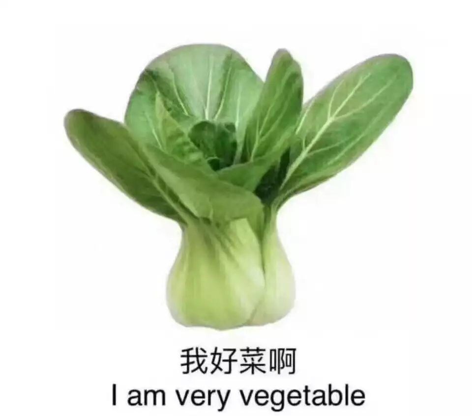 窝囊气|140亿的“0糖气泡水”,喝的是一口窝囊气!