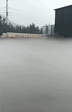 爸爸|搞笑GIF:孩子,都怪你爸爸的脚丫子有毒