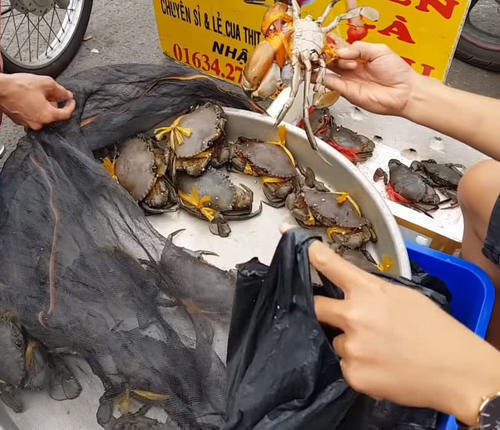 没想到|泰国街头的大螃蟹,一斤20块,以为捡到宝,没想到是“缩水”蟹