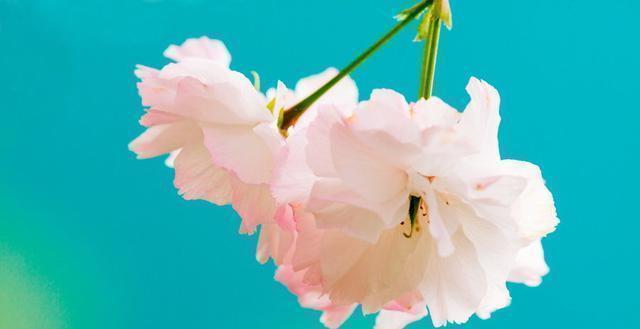 必读|发人深省的24句人生感悟句子,精辟入骨,一生必读