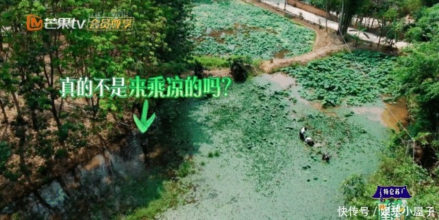 播片|《向往的生活》未播片段长达一小时,宋威龙摸河蚌,汪苏泷又偷懒